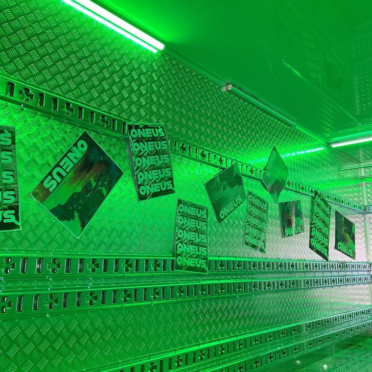 Фисташковая Эстетика