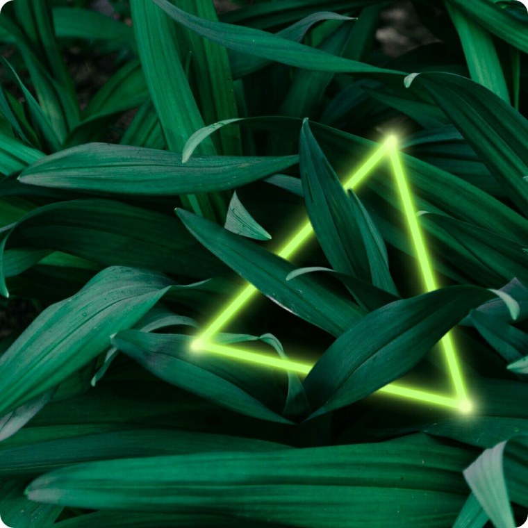 Салатовый неон