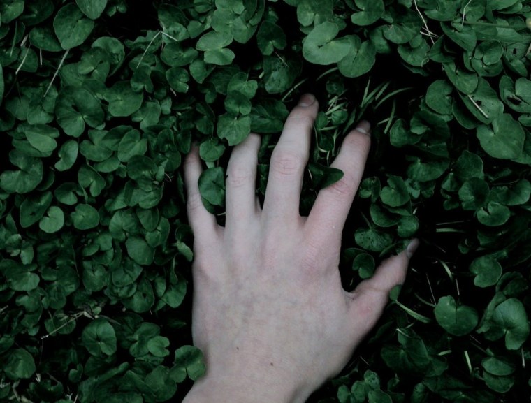 Эстетика на стену