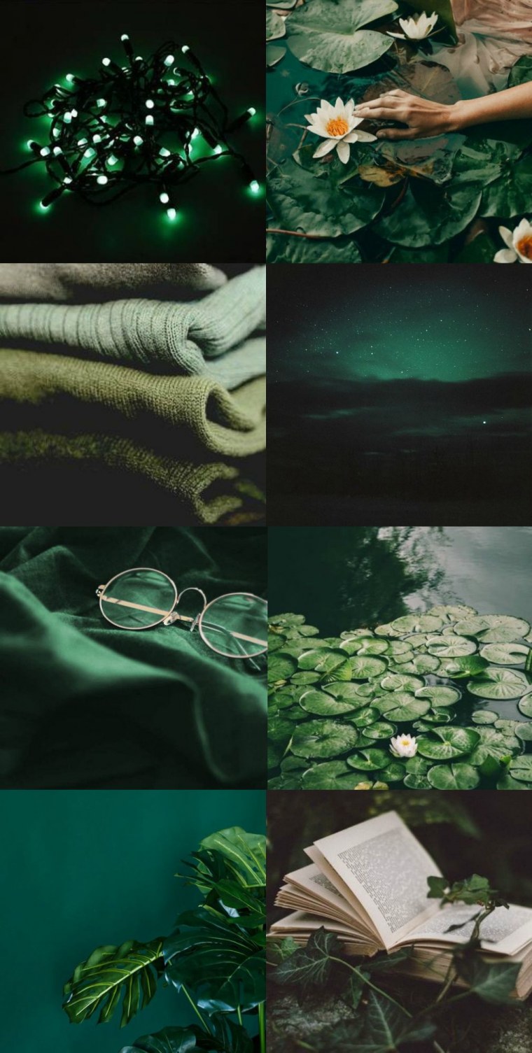 Эстетика амонг зелёный