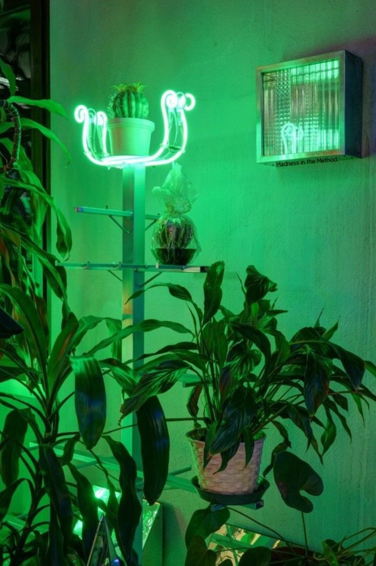 Зеленый фон Эстетика