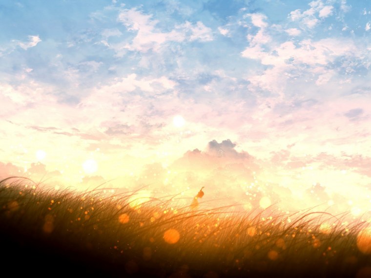 Макото Синкай цветы