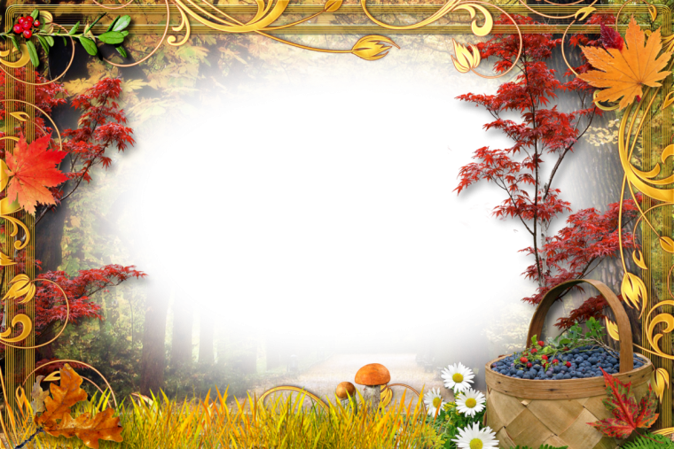 Осенний фон для презентации