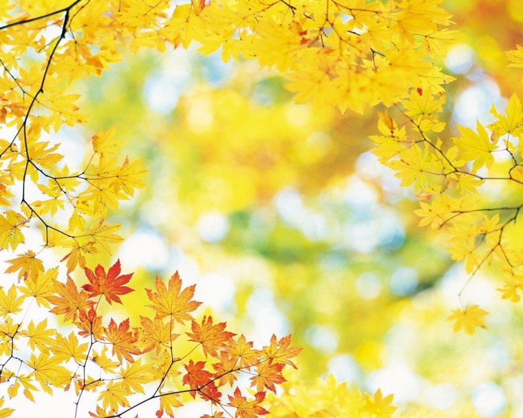 Осенняя рамка