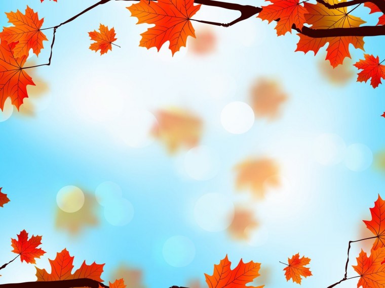 Подложка для ворда