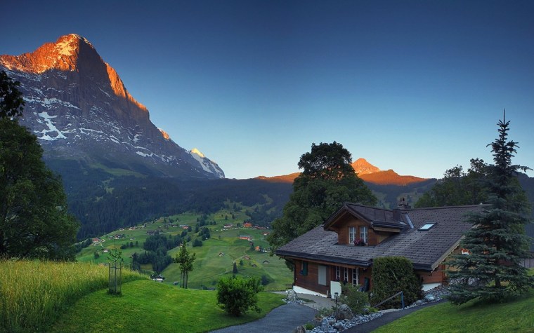 Дом на фоне леса