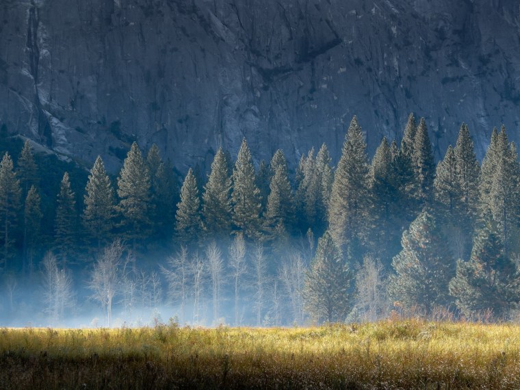 Лес горы туман