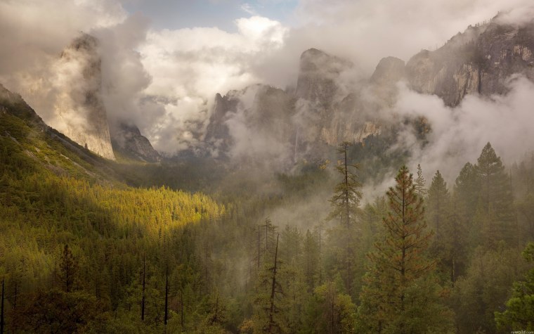 Лес горы туман пейзаж