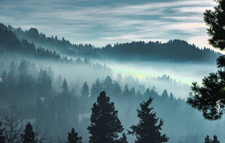 Горы туман лес Скандинавия