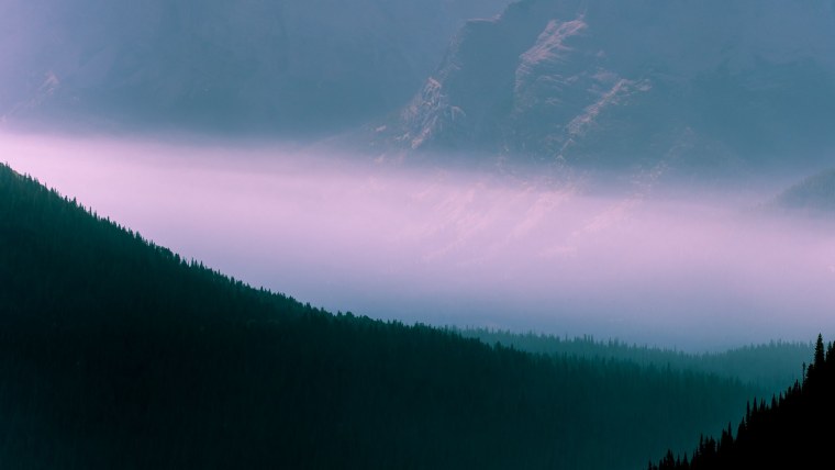 Горы туман лес Скандинавия