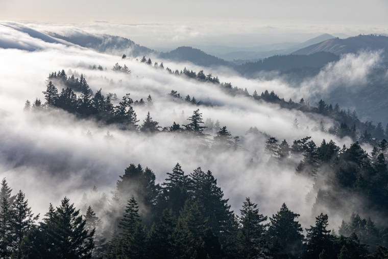 Горы в тумане в высоком качестве