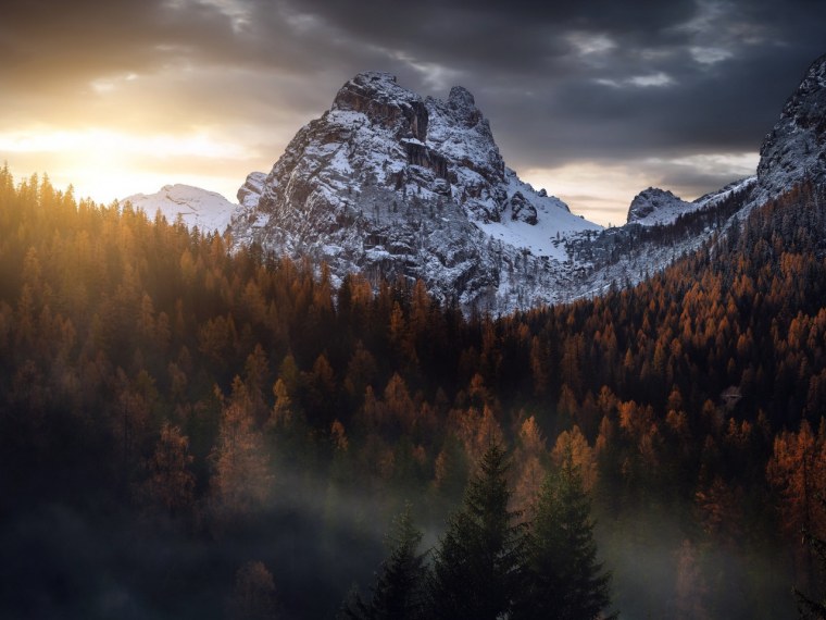 Туманный лес и горы 1080