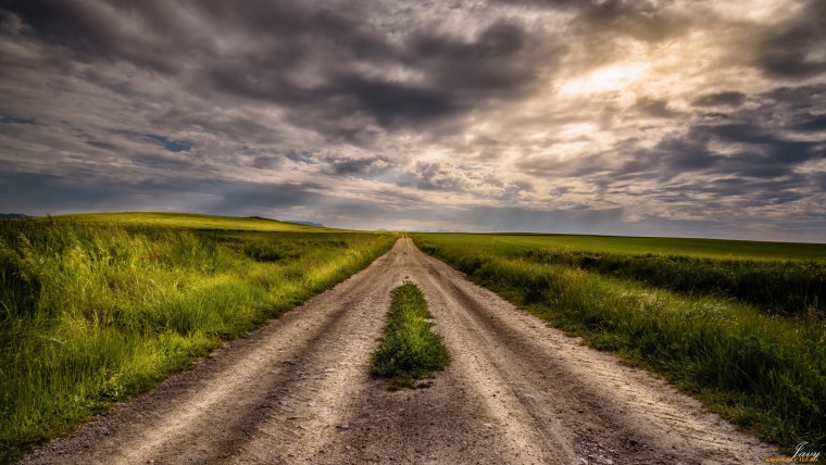 Природа дорога