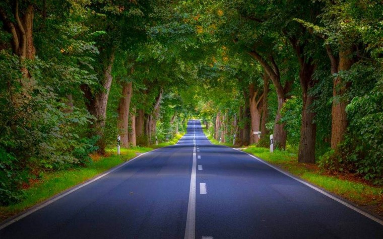 Красивая дорога