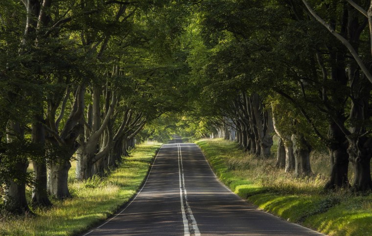 Дорога в даль