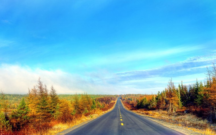 Осенняя дорога уходящая в даль