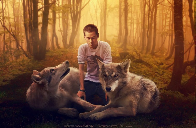 Оборотень, Волчонок, teen Wolf