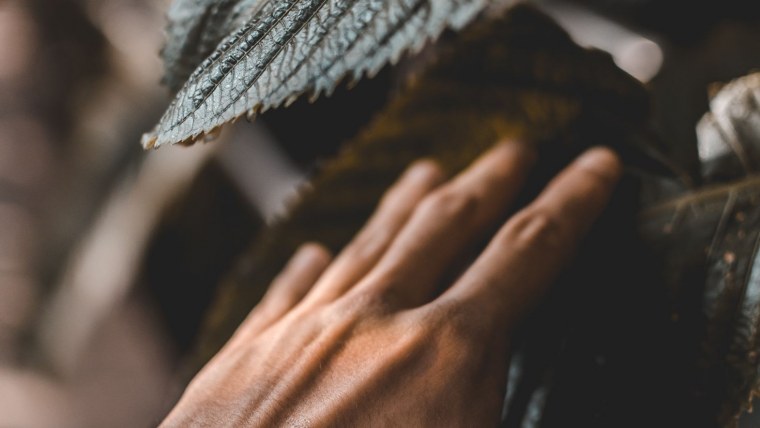 Руки прикасаются друг к другу