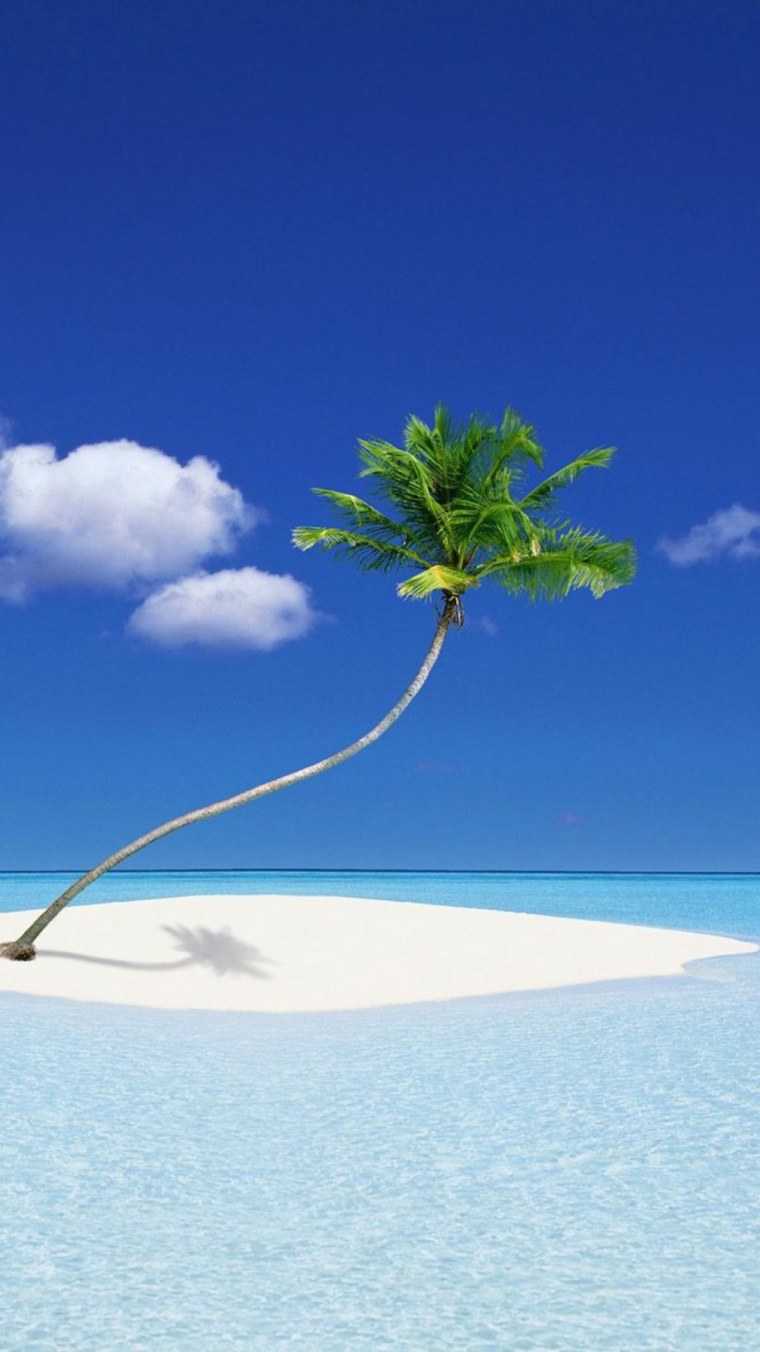 Фон Мальдивы