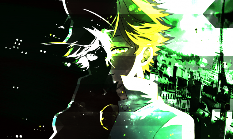 Адриан Агрест супер-кот