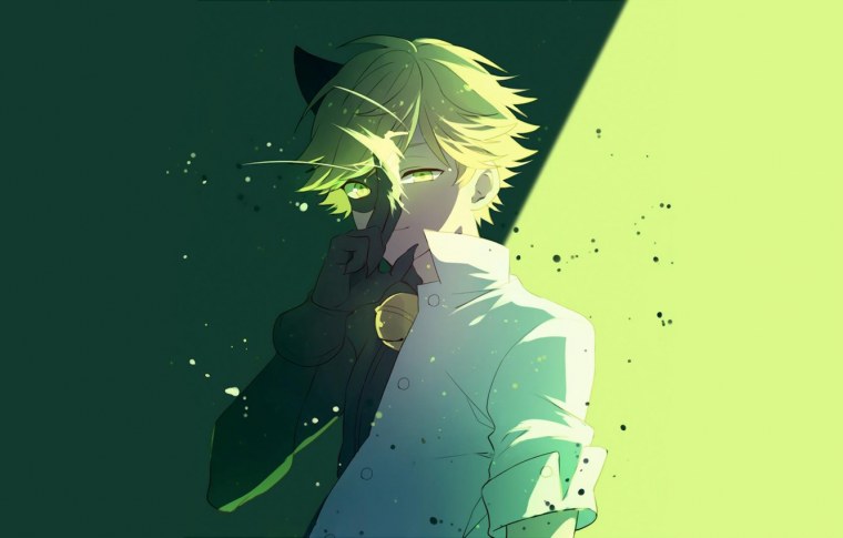 Леди баг и супер-кот