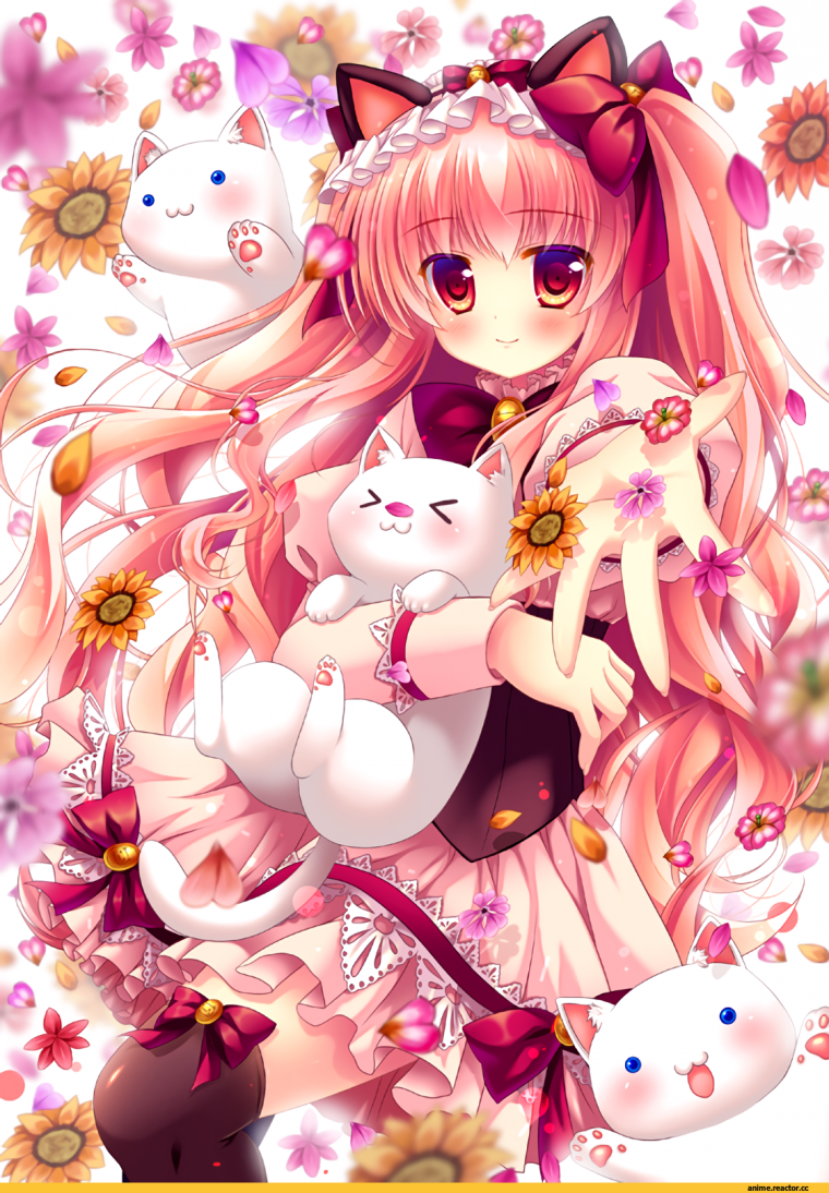 Аниме милашки