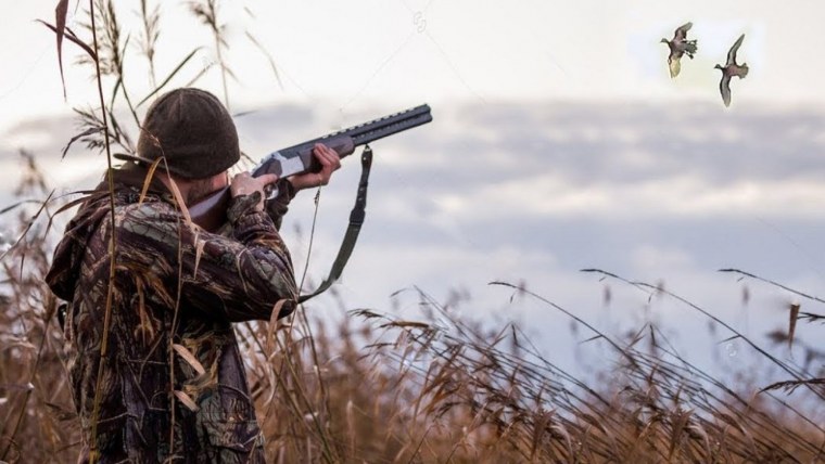 Весенняя охота на гуся видео