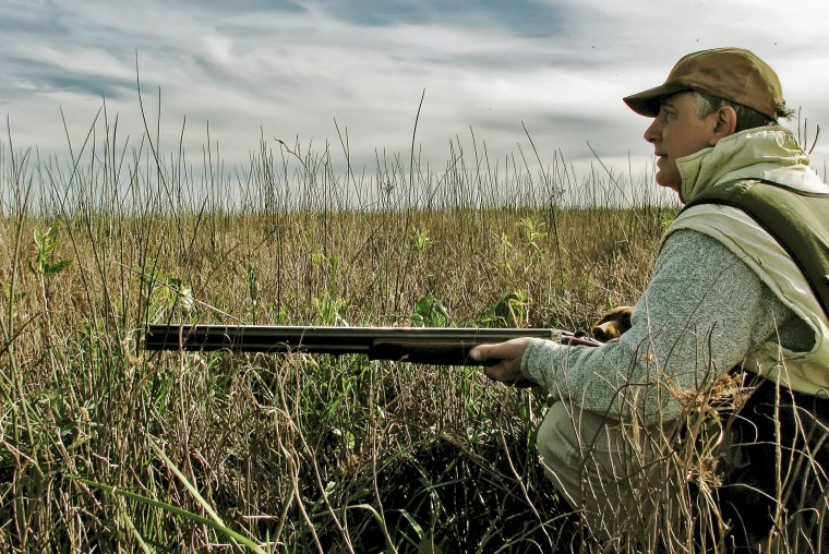 Утка кряква охота