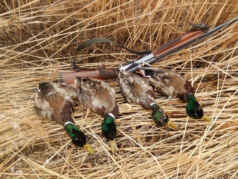 Охота бизнес