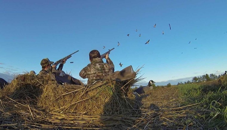 Охота на пернатую дичь 2020 в Астрахани