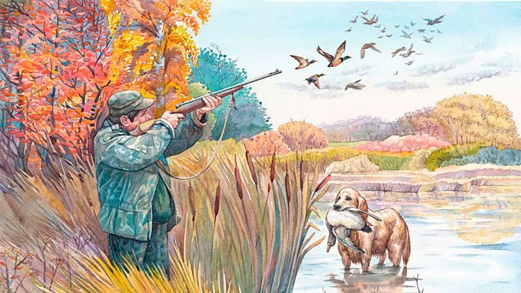 Сезон охоты Дикобраз