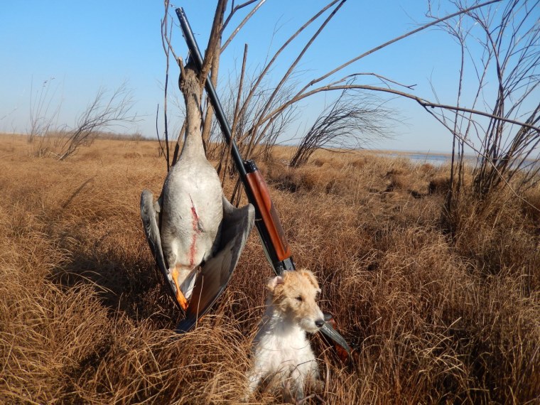 Поздравление охотнику