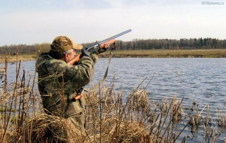 Охотник стреляет в уток рисунок