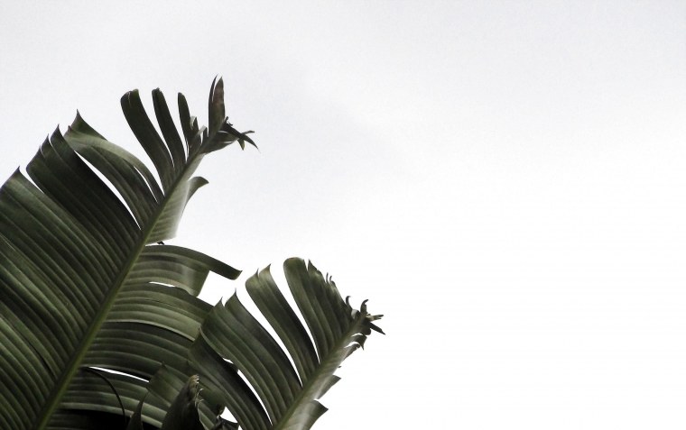 Минимализм Эстетика