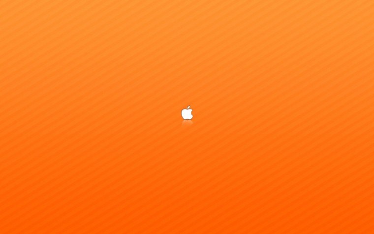 Оранжевые цветы