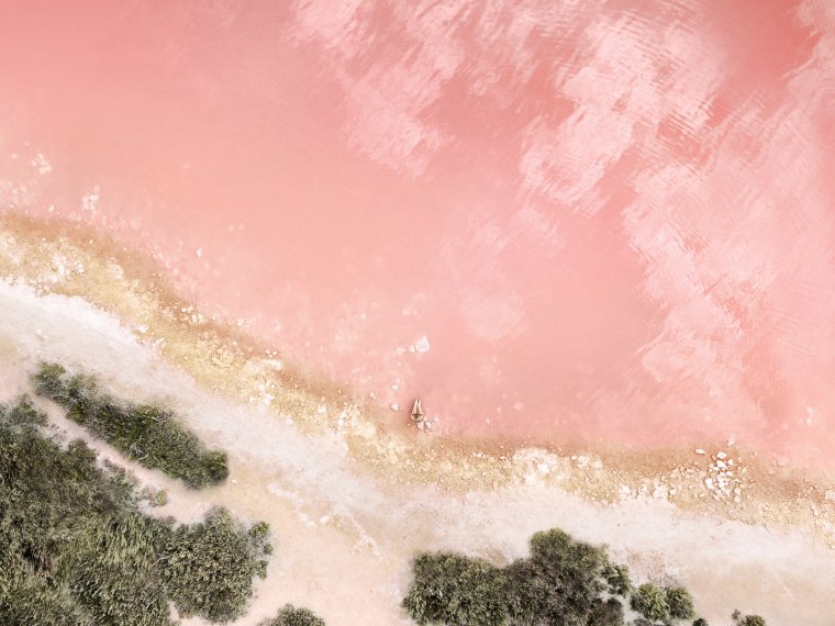 Цветочный фон Эстетика