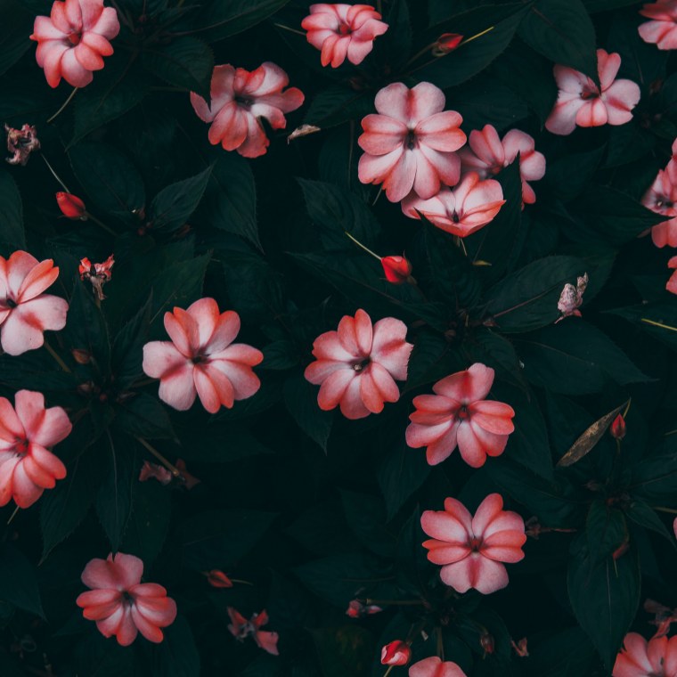 Вичхаус aesthetic