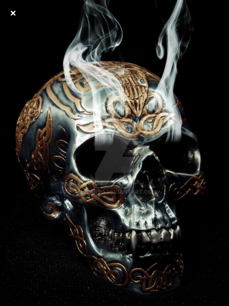 Виверна тьмы арт