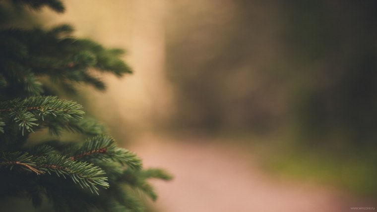 Стильные обои на телефон