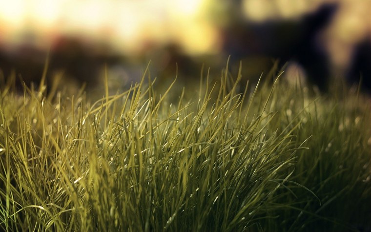 Заставка на экран блокировки