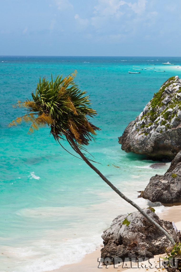 Остров Канкун Мексика