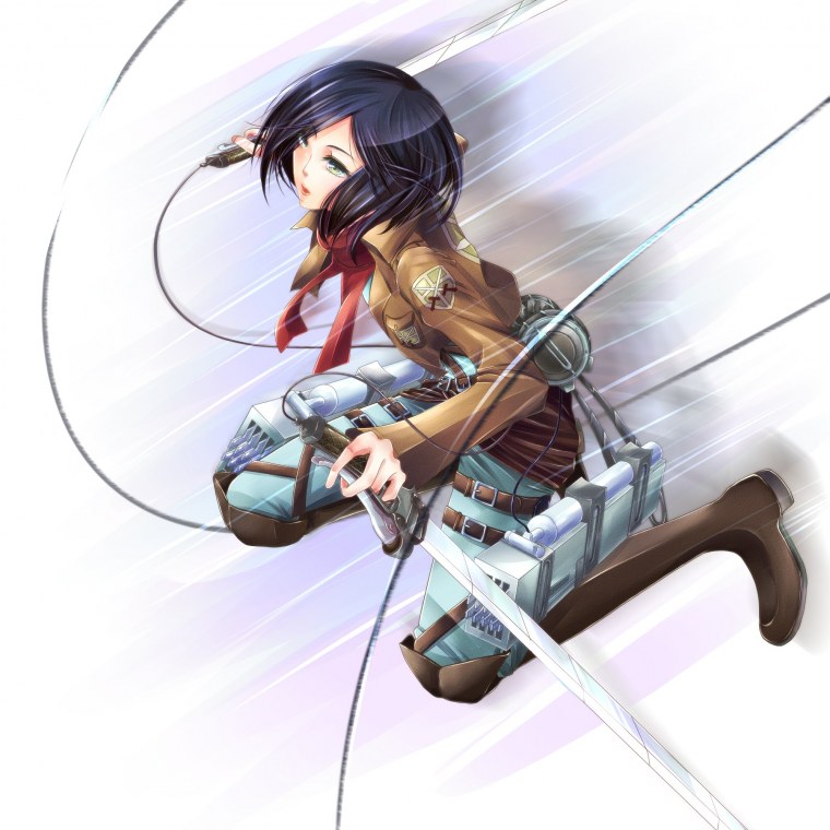 Микаса фигура пресс