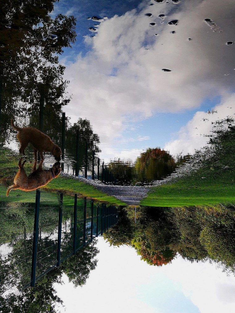 Эстетика природы