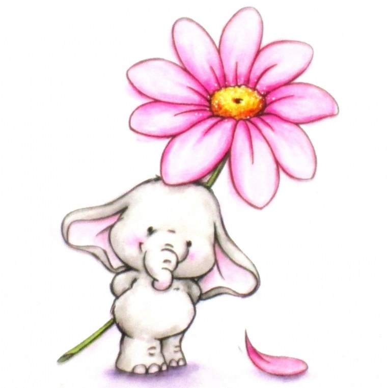 Животные с цветами