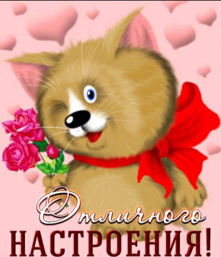 Медвежонок с ромашками