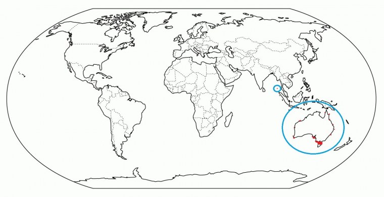 Политическая карта мира контурная карта для печати а4