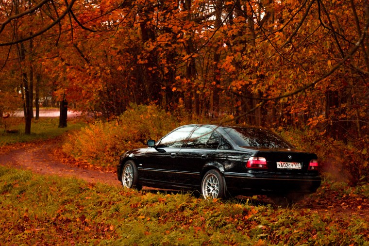 БМВ 5 е39 осень 26 10 18