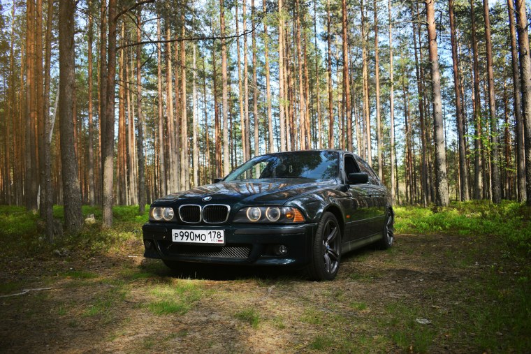 БМВ 5 В лесу