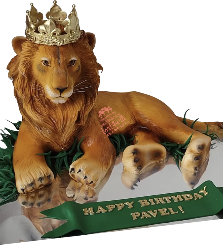 Симба в круге