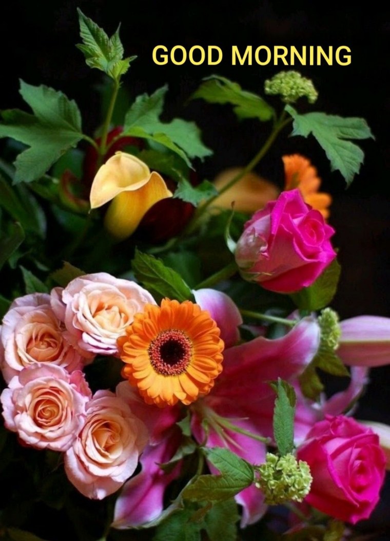 Красивые цветочки на профиль